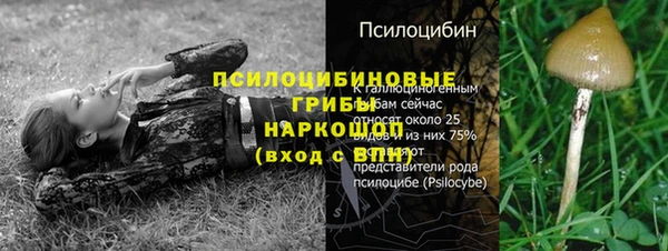 дмт Баксан