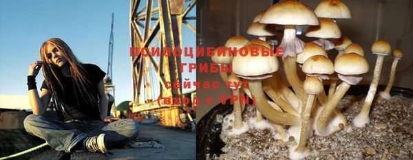 дмт Баксан