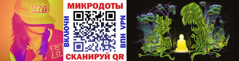 цены наркотик  Гатчина  Псилоцибиновые грибы мицелий 